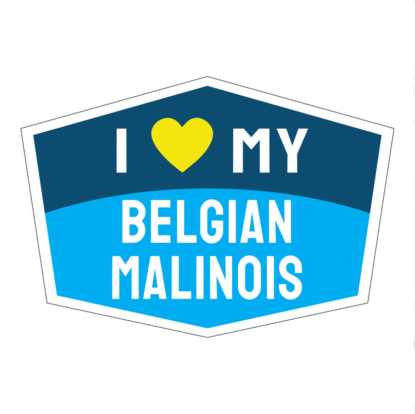 I Love My Belgian Malinois Hexagon Shaped Magnet