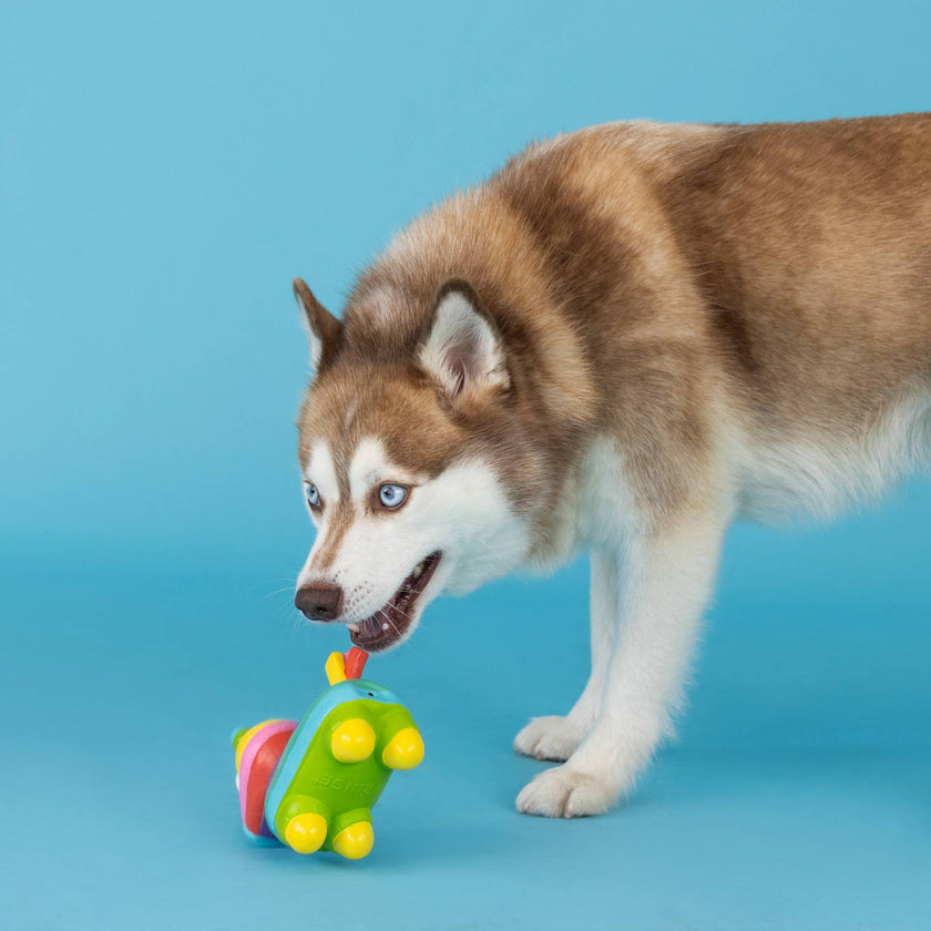Dog Toy Pinata Life's A Paw-ty Latex Toy