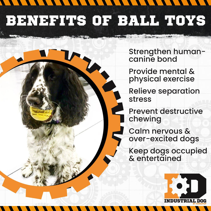 SP ID Ball - Chew Toy - Retrieving Toy - Large - Yellow