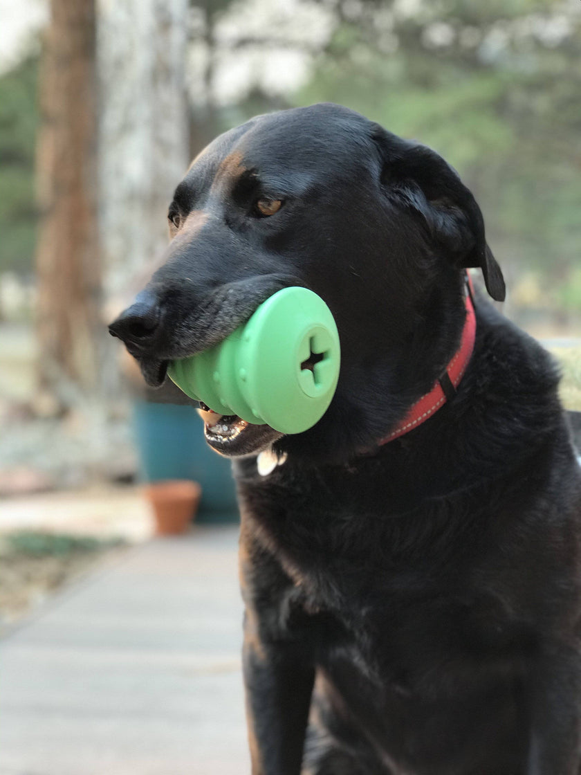 Christmas Tree Dog Toy Durable Rubber Chew Toy