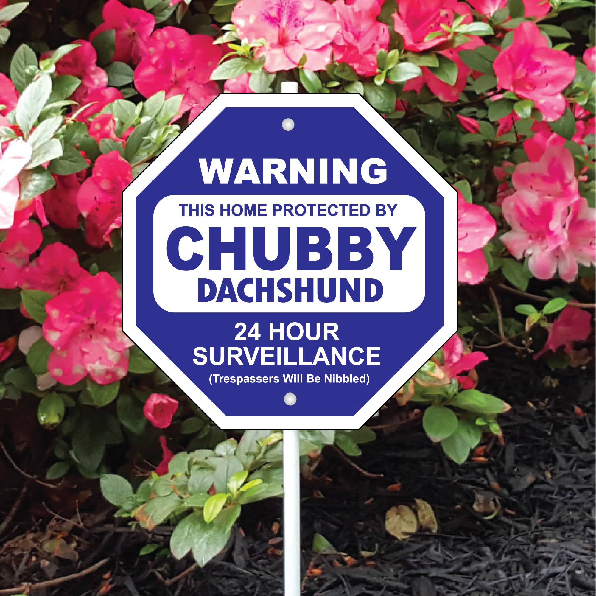 Chubby Dachshund Garden Security Sign