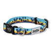 California Sunset Dog Collar Made With Eco Repreve