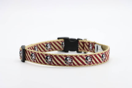 Florida State University Side Release Buckle Clip Dog Collar