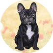 French Bulldog, Black Car Coaster