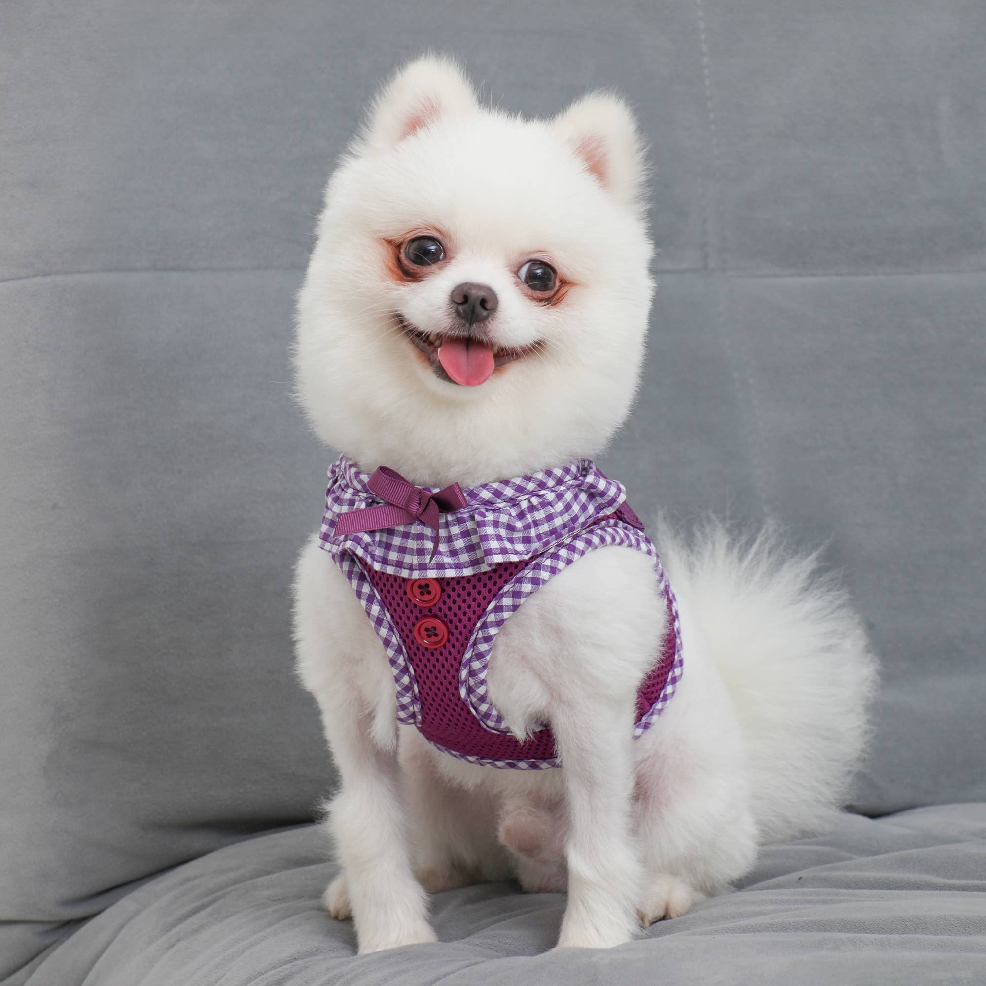 Checkered Ruffle Dog Harness Over-the-Head Vivien