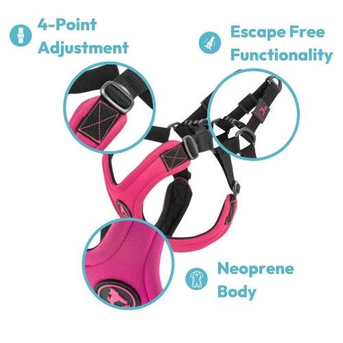 Escape Free Sport Dog Harness