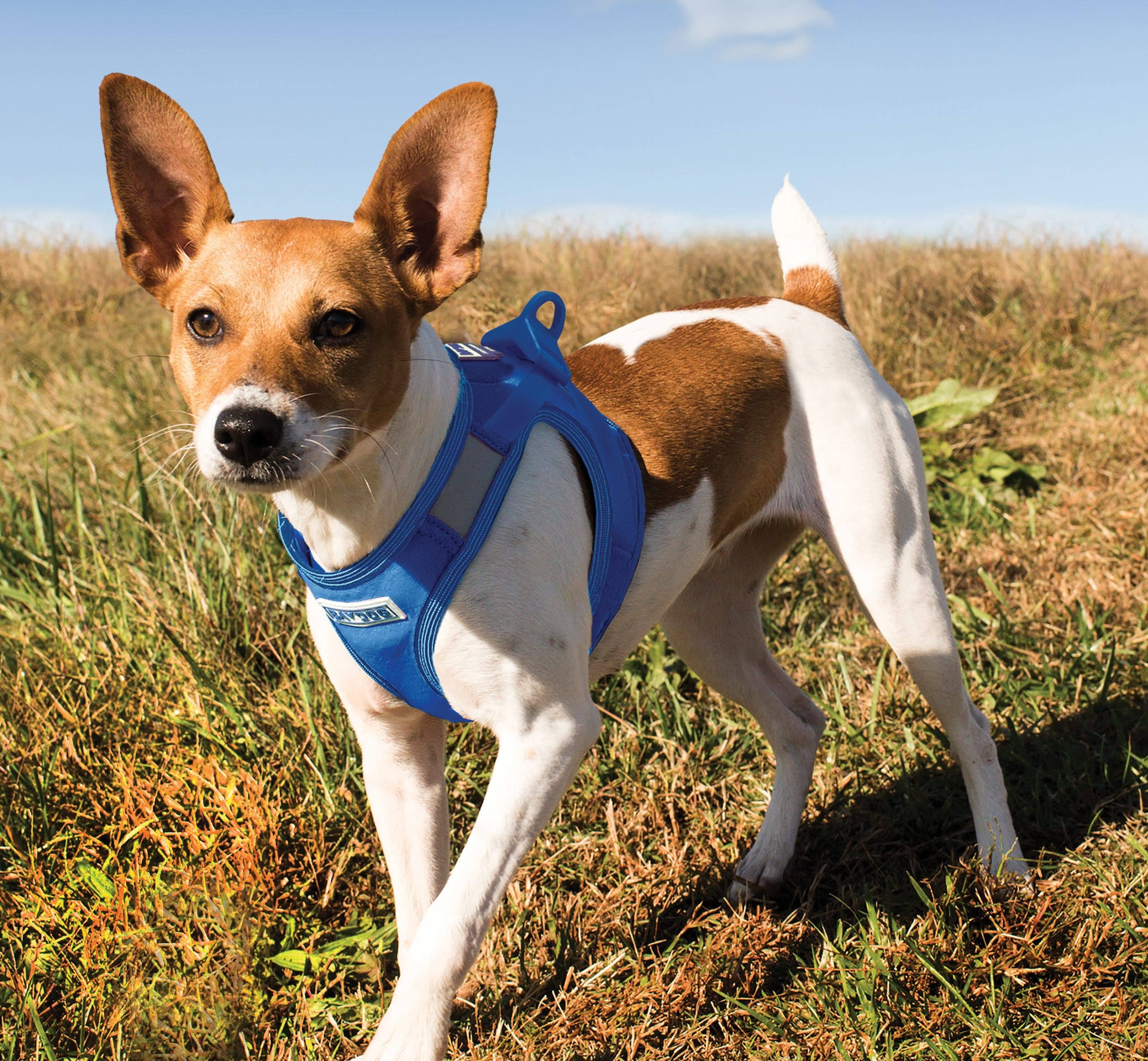 Reflective Lightweight Breathable Step in Dog Harness