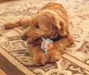 ThoozyPet Figure 8 Knot Ball Rope Dog Toy Blue / Red 11.5