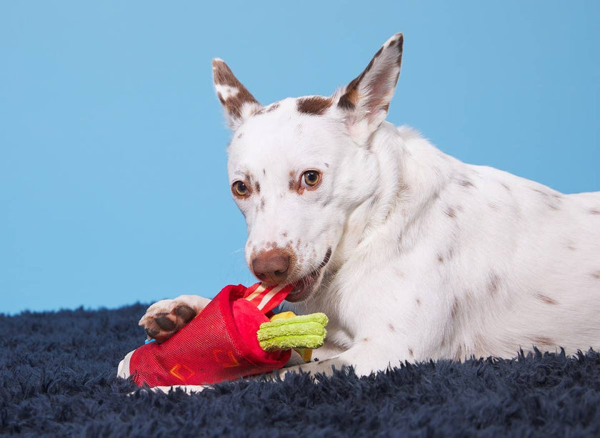 BARK Mutty Mary Dog Toy