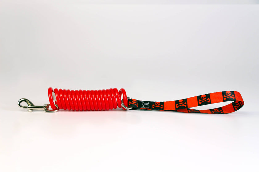 Unique Coil Pet Leash