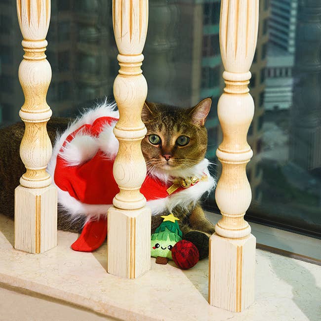 Cat Toy Christmas Tree Holiday Feline Xmas Tree Catnip Toy Set