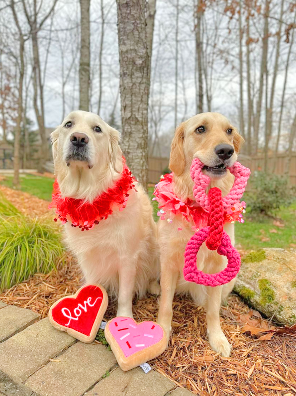 Valentine's Heart Decorative Dog Collar