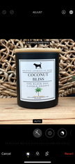 Classic Candle - Coconut Bliss