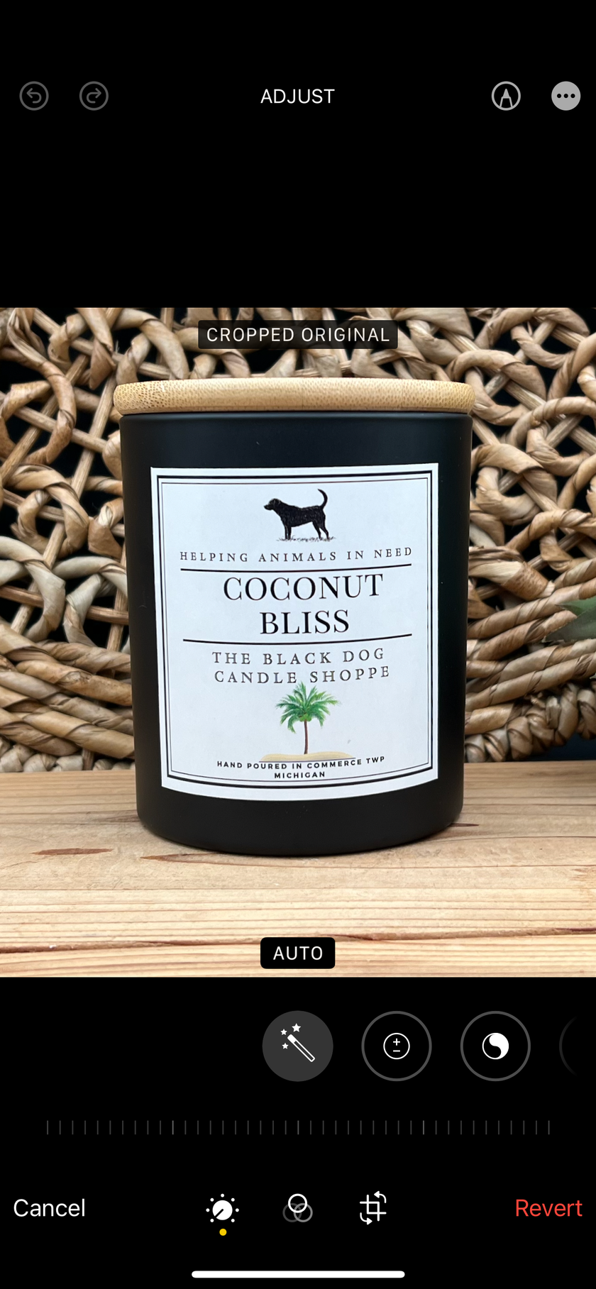 Classic Candle - Coconut Bliss