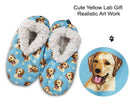 Labrador, Yellow Slippers