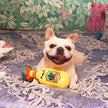 Dog Toy Tequila Fiesta Chewsday Plush Two-In-One Toy