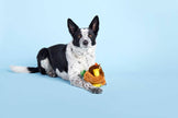 BARK Fowl Play Dog Toy