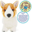 Plush Corgi Carlotta The Corgi Stuffed Animal Plush
