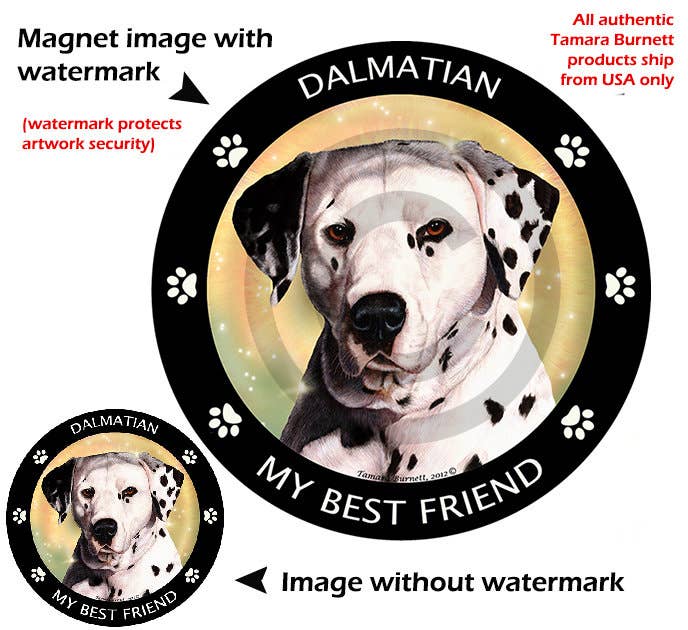 Dalmatian My Best Friend Circular Magnet