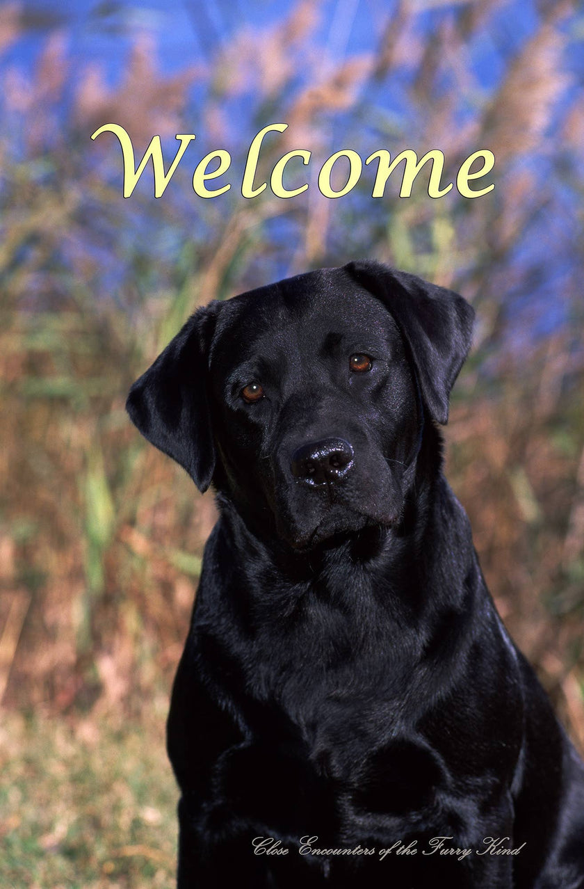 Black Labrador Large Welcome House Flag