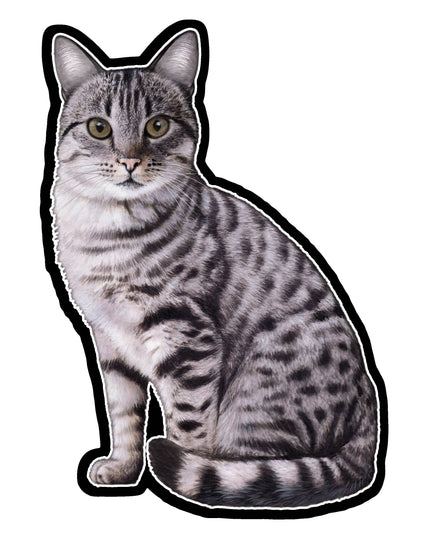 Silver Tabby  - Vinyl Sticker