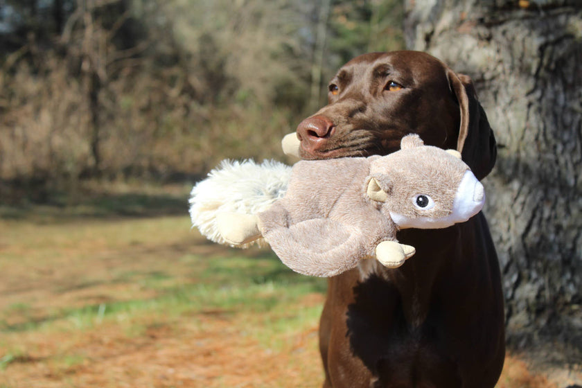 Dog Toy Squirrel Fling and Fetch Plush Toy