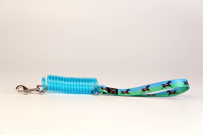 Unique Coil Pet Leash