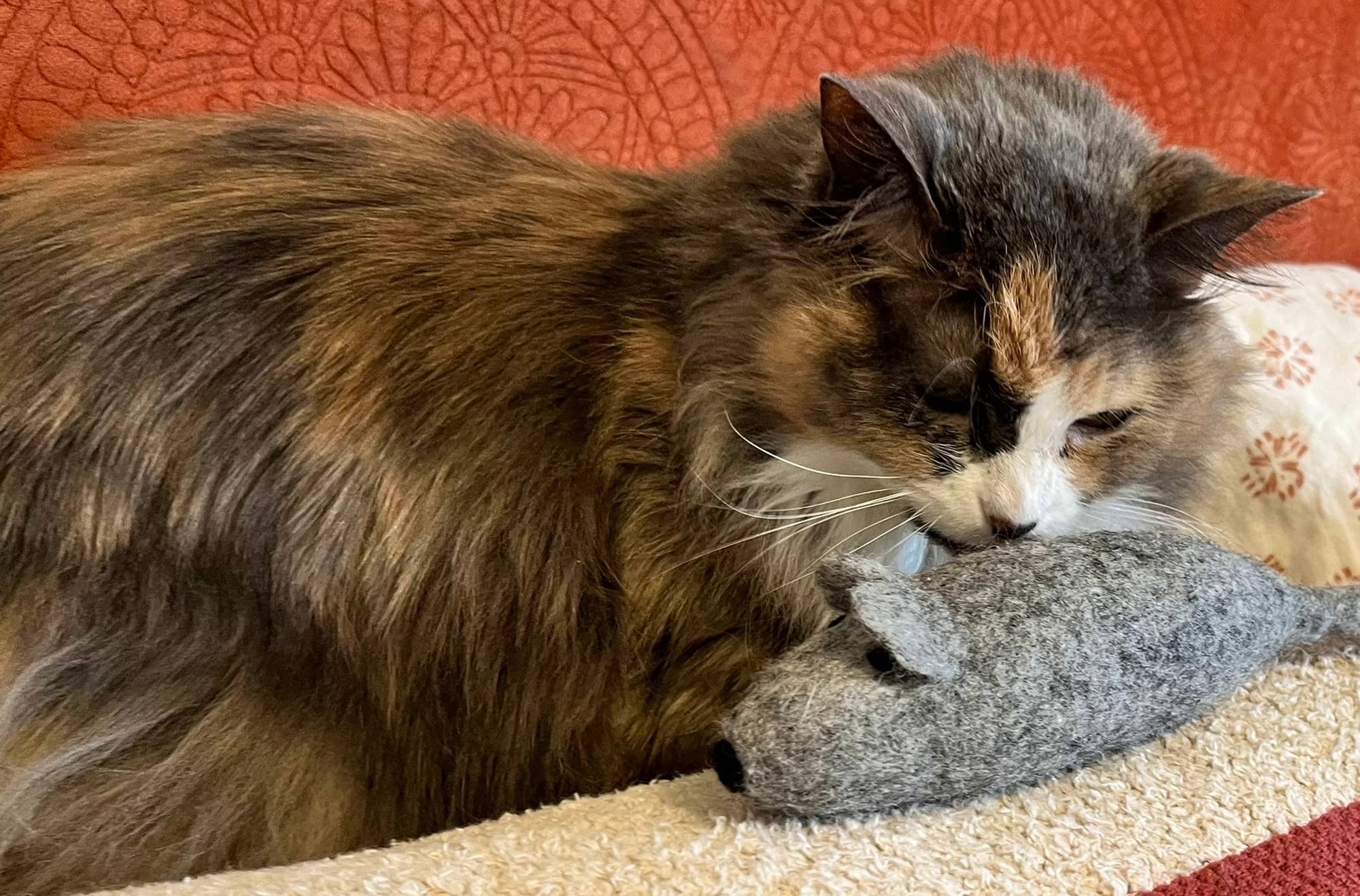 Cat Toy Felt Mouse Wool Toy