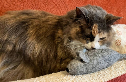 Cat Toy Felt Mouse Wool Toy