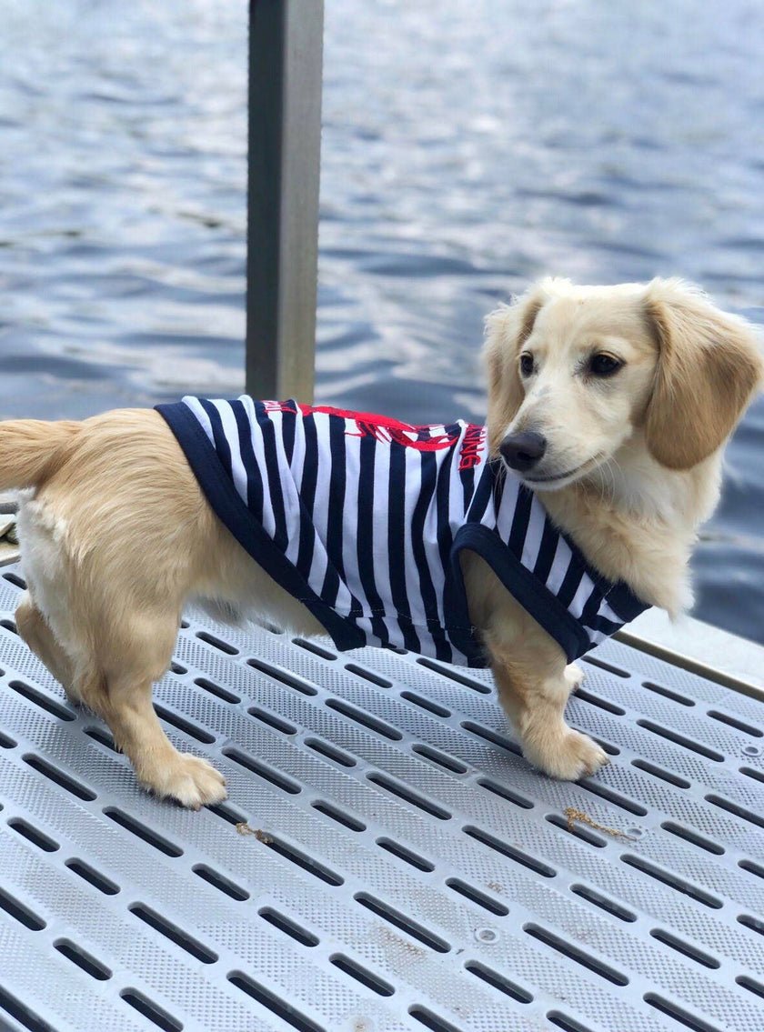 Chasing Tale Lobster Dog or Cat Pet Clothing