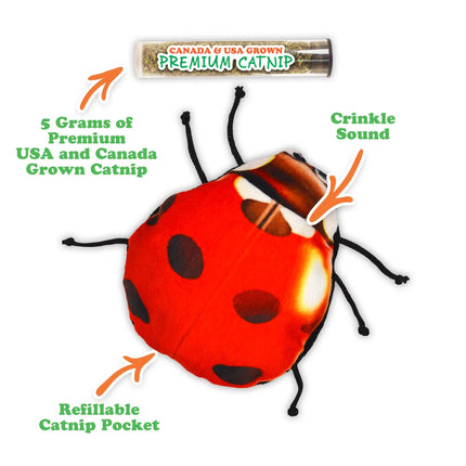 Meowijuana® Get Sprung Lady Bug Refillable Cat Toy