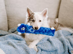Hanukkah Jigglerz® - Blue Bear - Holiday Dog Toy