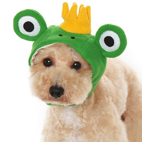 Prince Frog Dog or Cat Costume Hat