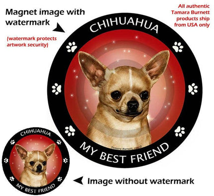 Chihuahua Fawn My Best Friend Circular Magnet