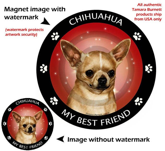 Chihuahua Fawn My Best Friend Circular Magnet