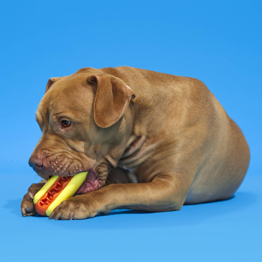 BARK Super Chewer Treat Meat Hot Dog Dog Chew Toy M