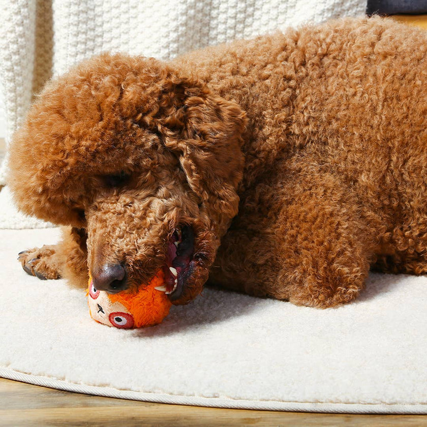 Dog Toy Sloth Zoo Ball Dog Plush Covered Tennis Ball Toy