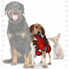 Tuffy Ocean JR Lobster, Durable, Tough, Squeaky Dog Toy