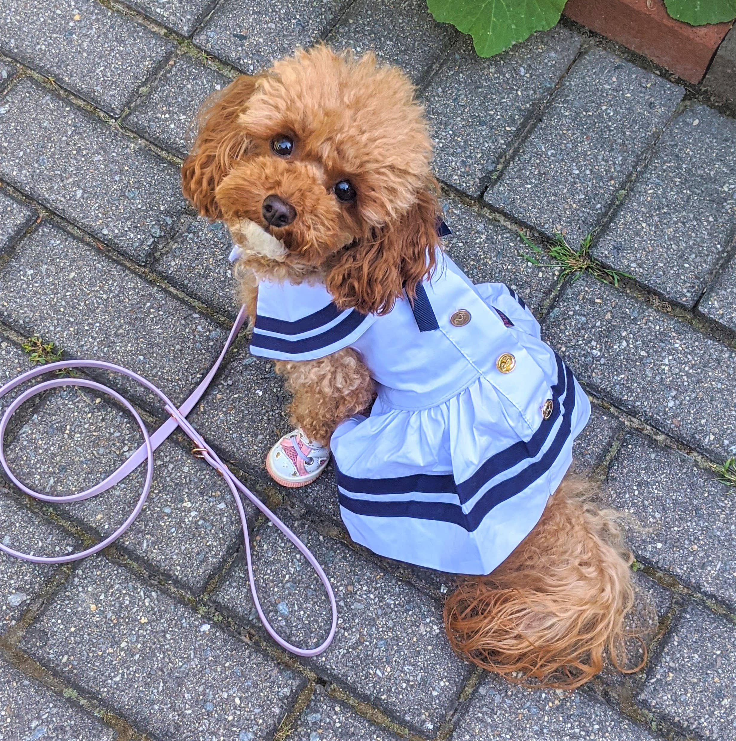 Dog or Cat Dress Sailor Pet Clothing