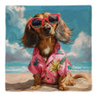 Dachshund Beach Dog | Drink Coaster