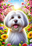 Coton De Tulear Colorful Spring Large House Flag