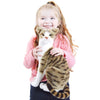 Amy The American Shorthair Cat | 14 Inch Stuffed Animal