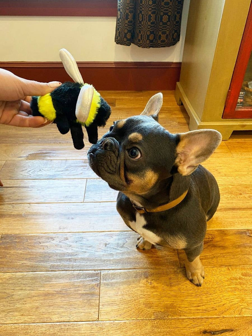 Dog Toy Bumble Bee Squeaker Plush Toy