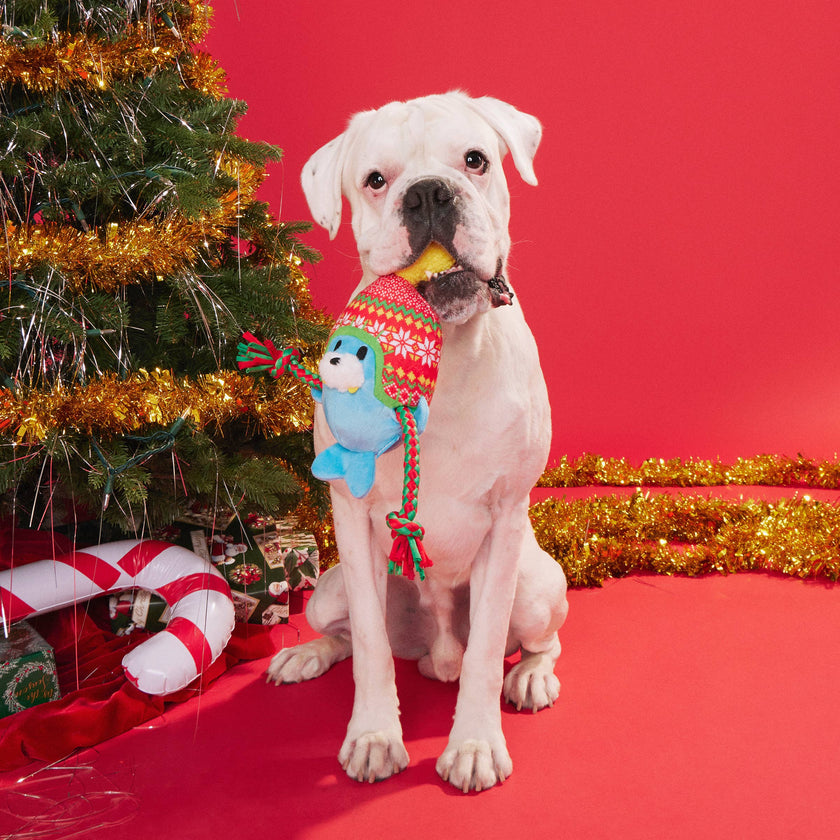 BARK Walter the Winter Walrus Christmas Dog Toy
