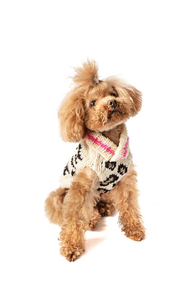 Leopard Dog Pet Sweater