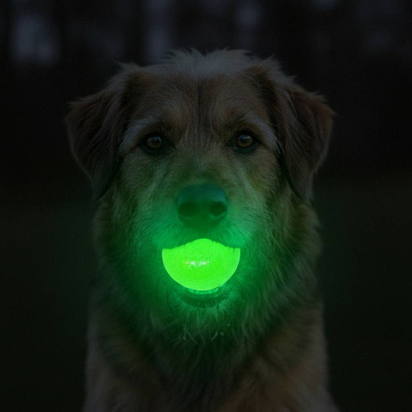 Glow in the Dark Glitter Ball 2-Pack Dog Toy Soft PUP-X Rubber Floating Fetch Ball with Treat Dispenser