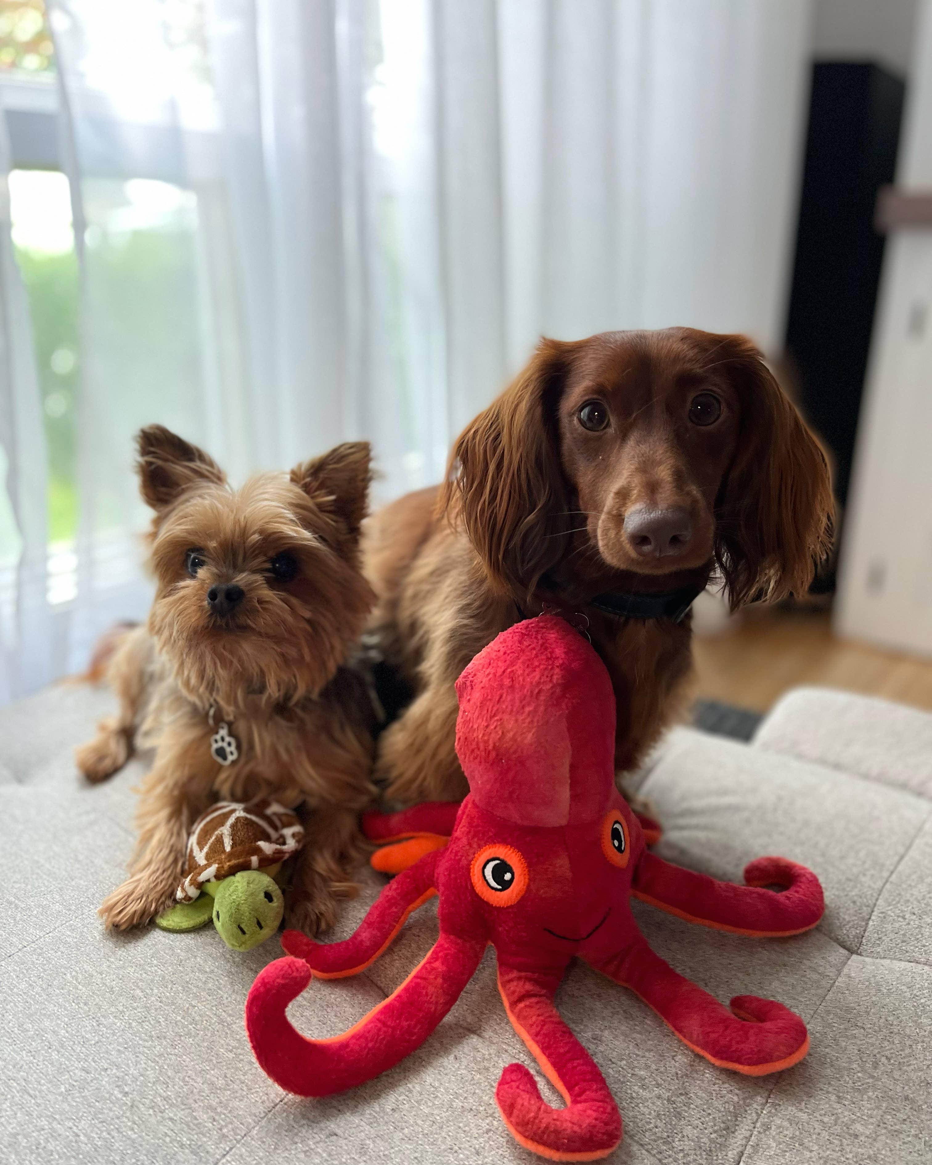 SnugArooz Olivia the Octopus Plush Dog Toy 11