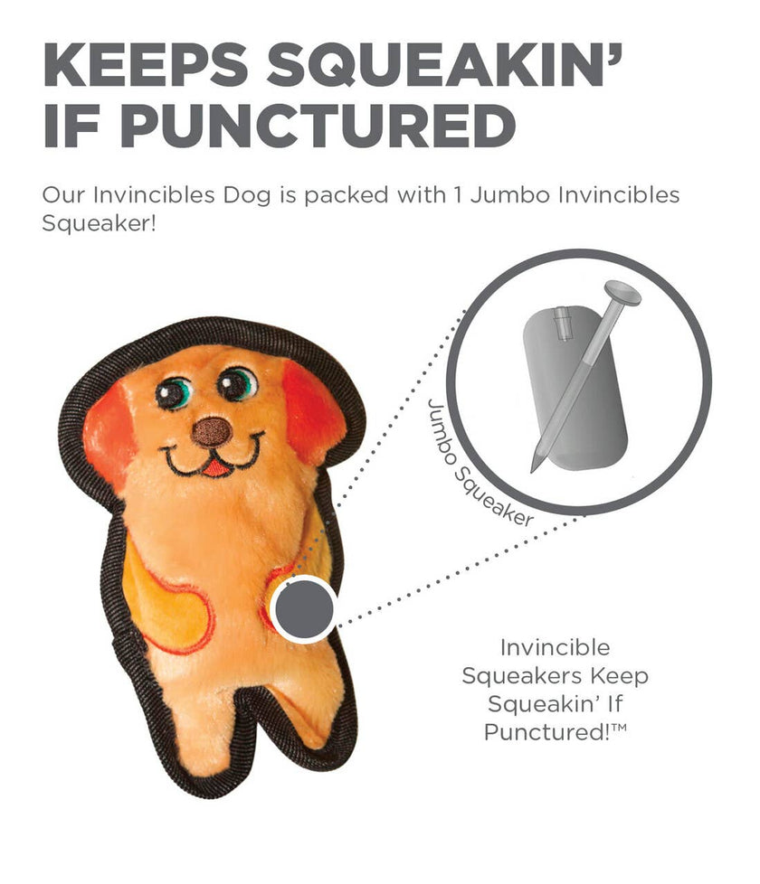Outward Hound Invincibles Dog Orange XS