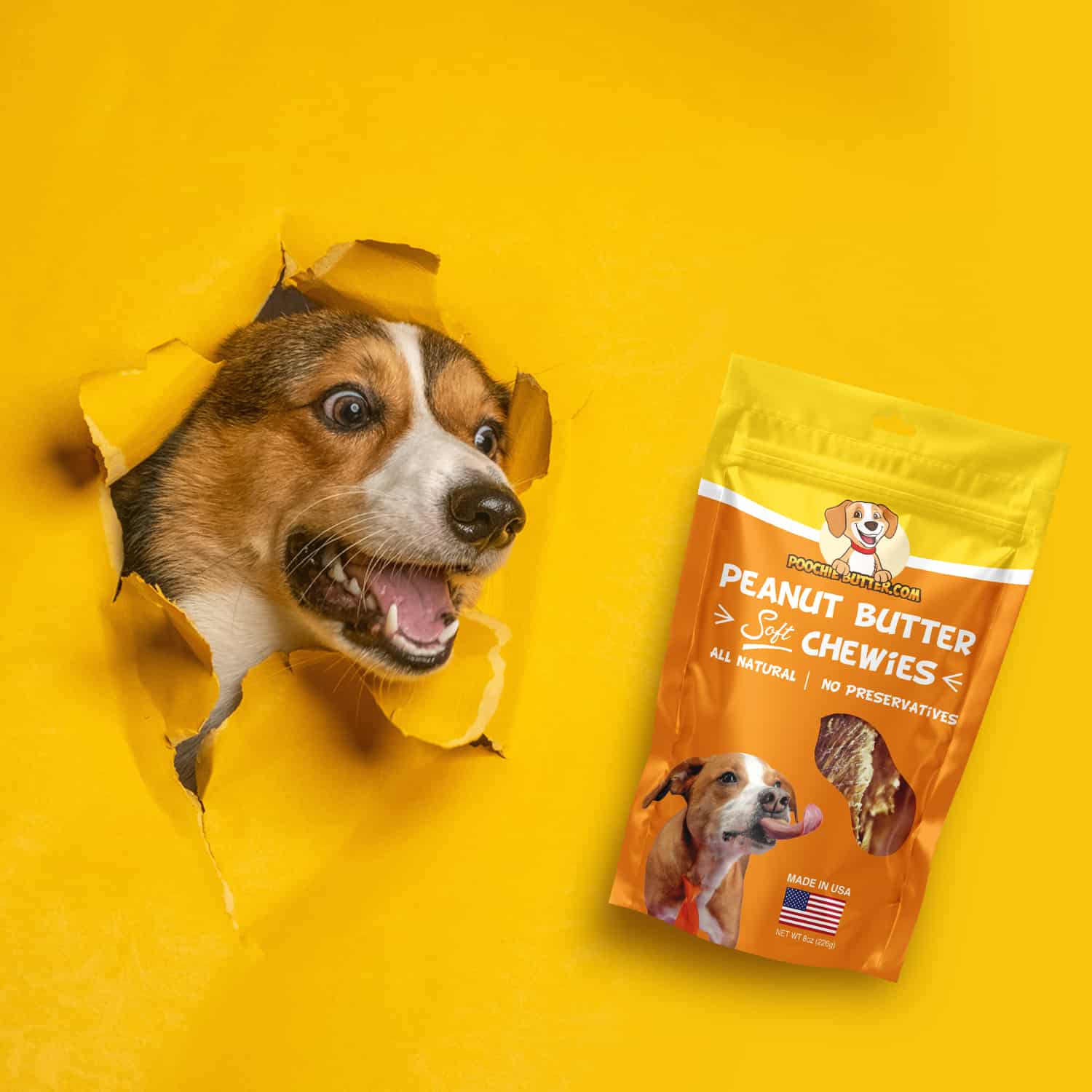 8oz Peanut Butter Soft Chewy Dog Treats