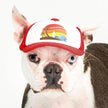Trucker Hat for Dogs/Cats: Island sunset Red / Tiny